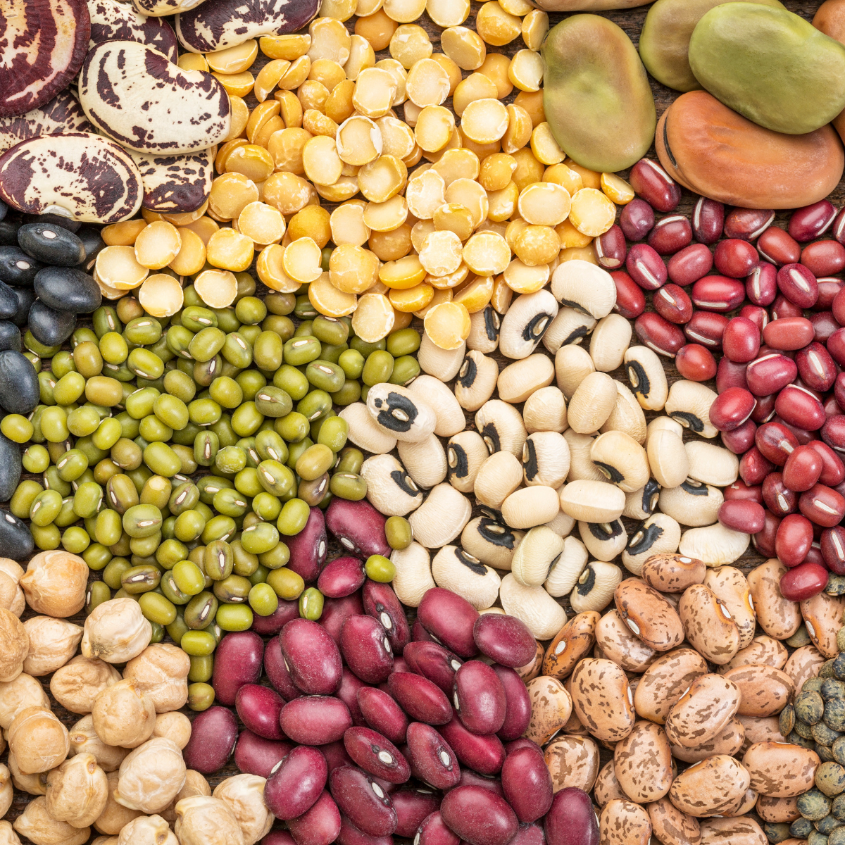 are beans keto